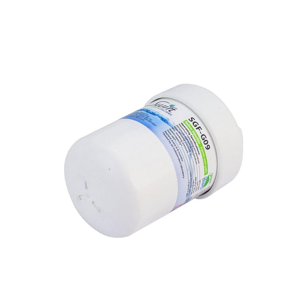 Aqua Fresh WF287 Compatible VOC Refrigerator Water Filter - The Filters Club